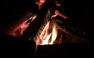 Brian C.'s photo at Hamilton Branch State Park Campground near North Augusta, SC