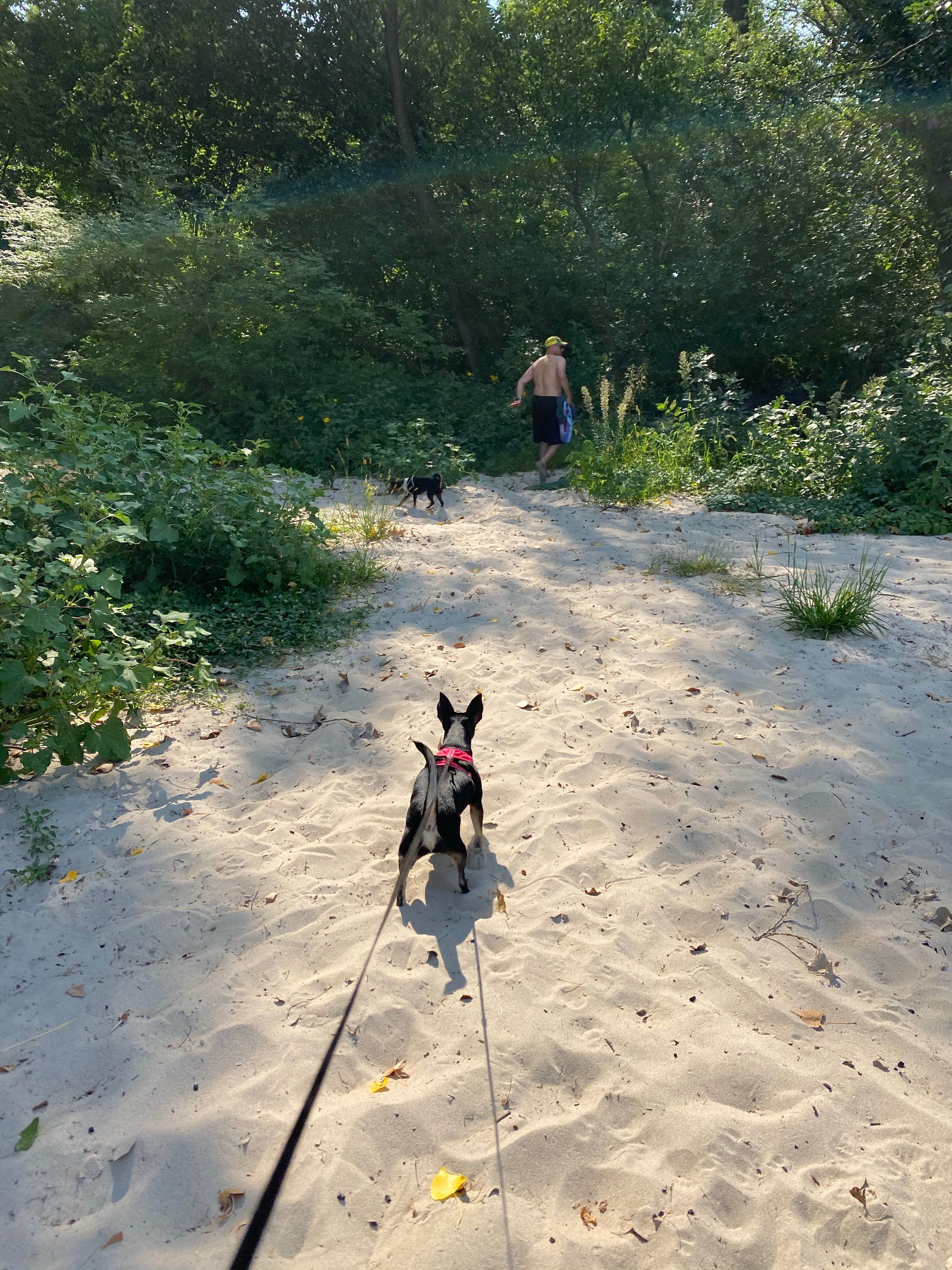 Shannon G.'s photo of camping with pets at Cottonwood — Two Rivers SRA near Louisville, NE