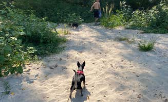 Shannon G.'s photo of camping with pets at Cottonwood — Two Rivers SRA near Omaha, NE