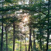 Review photo of Ricketts Glen State Park Campground by Allison H., August 27, 2020