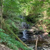 Review photo of Ricketts Glen State Park Campground by Allison H., August 27, 2020