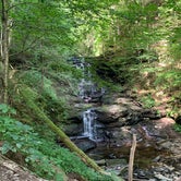 Review photo of Ricketts Glen State Park Campground by Allison H., August 27, 2020