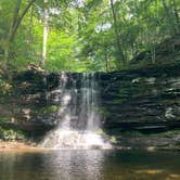 Review photo of Ricketts Glen State Park Campground by Allison H., August 27, 2020