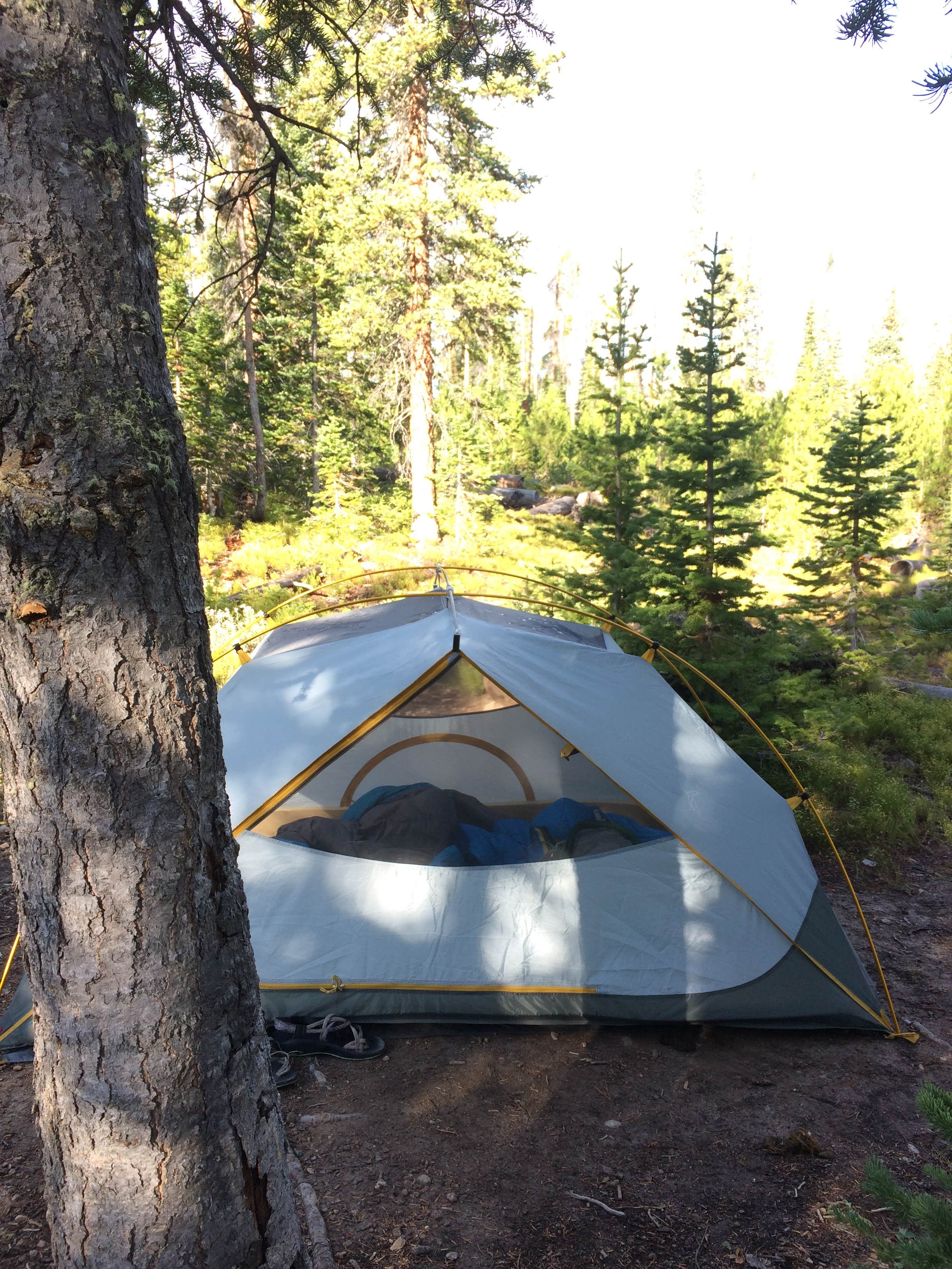 Camper submitted image from Long Draw Campground (Temporarily Closed) - 3