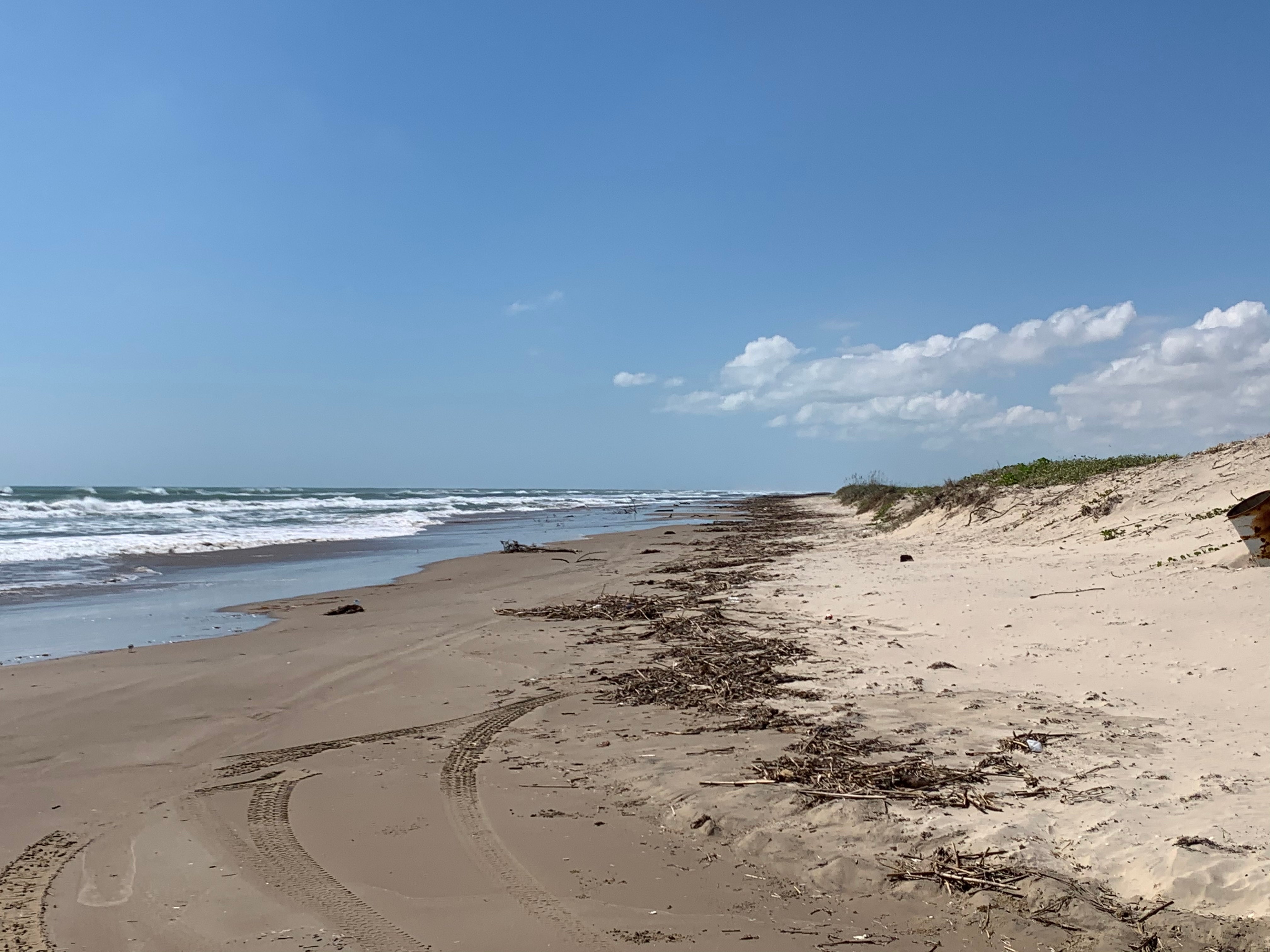 Camper submitted image from Boca Chica Beach - 5