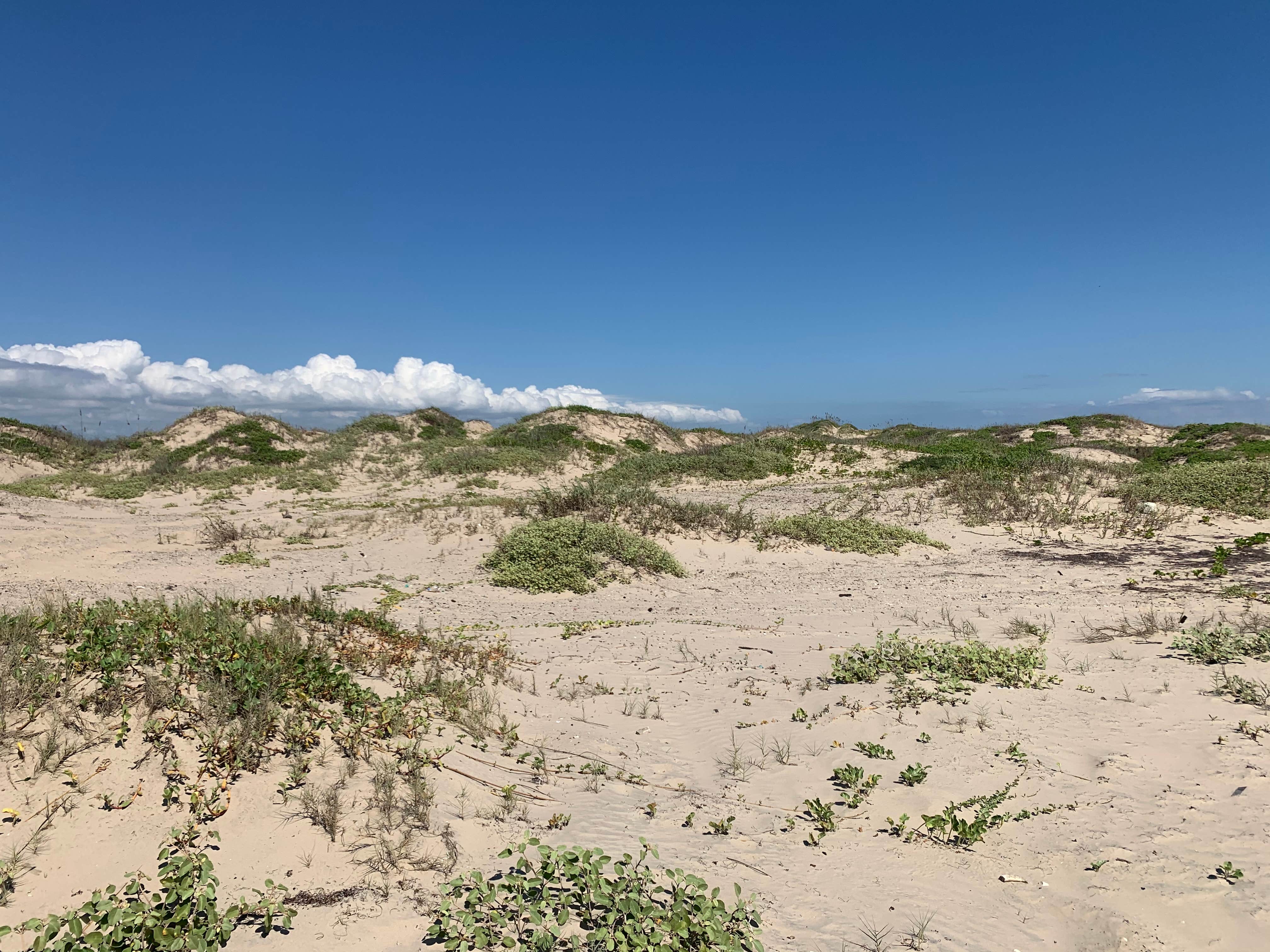 Camper submitted image from Boca Chica Beach - 2