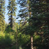 Review photo of Rainbow Trout Ranch and Campground by Sarah F., August 27, 2020