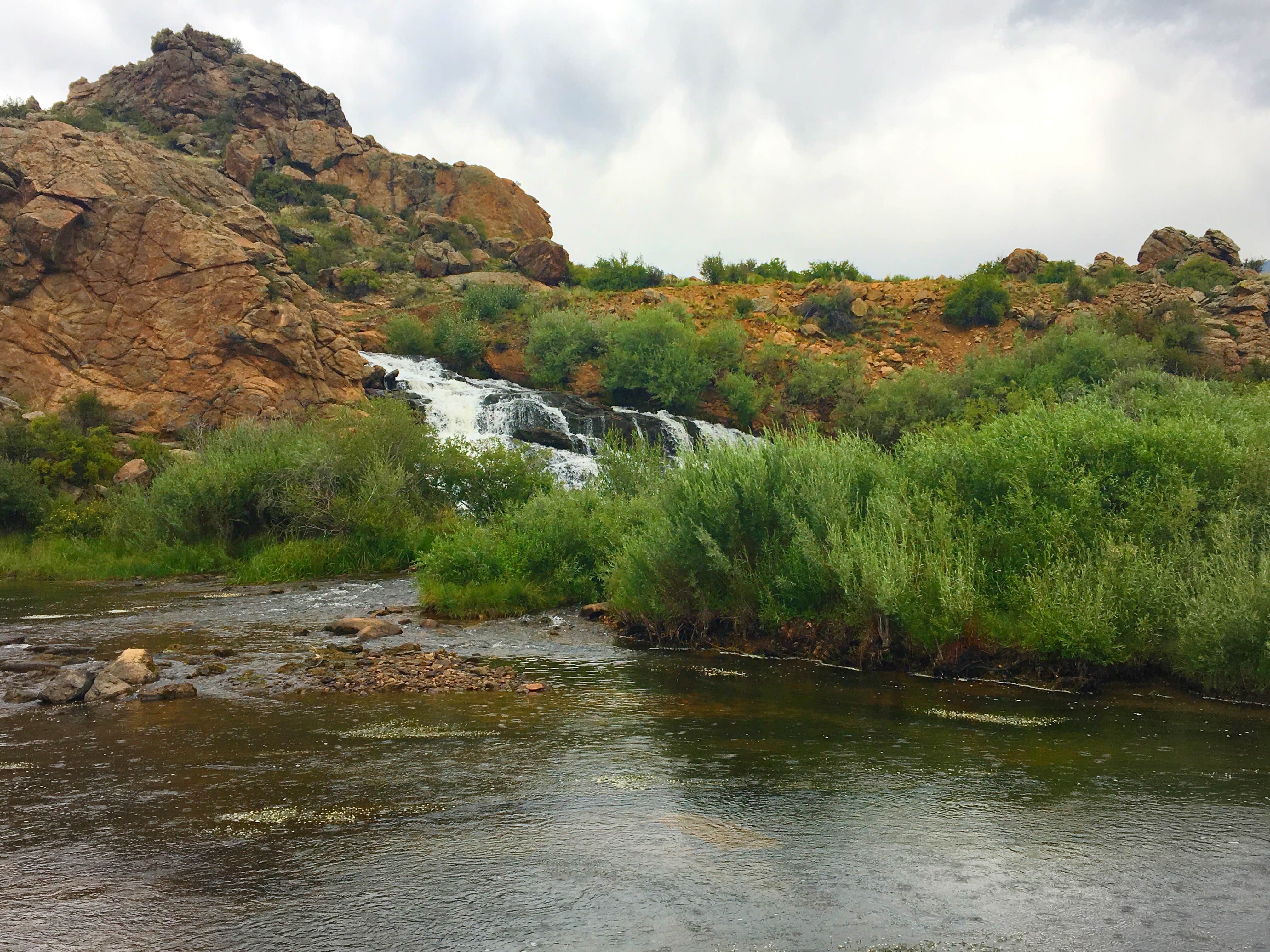 Camper submitted image from Dispersed Camp off Tarryall - 5