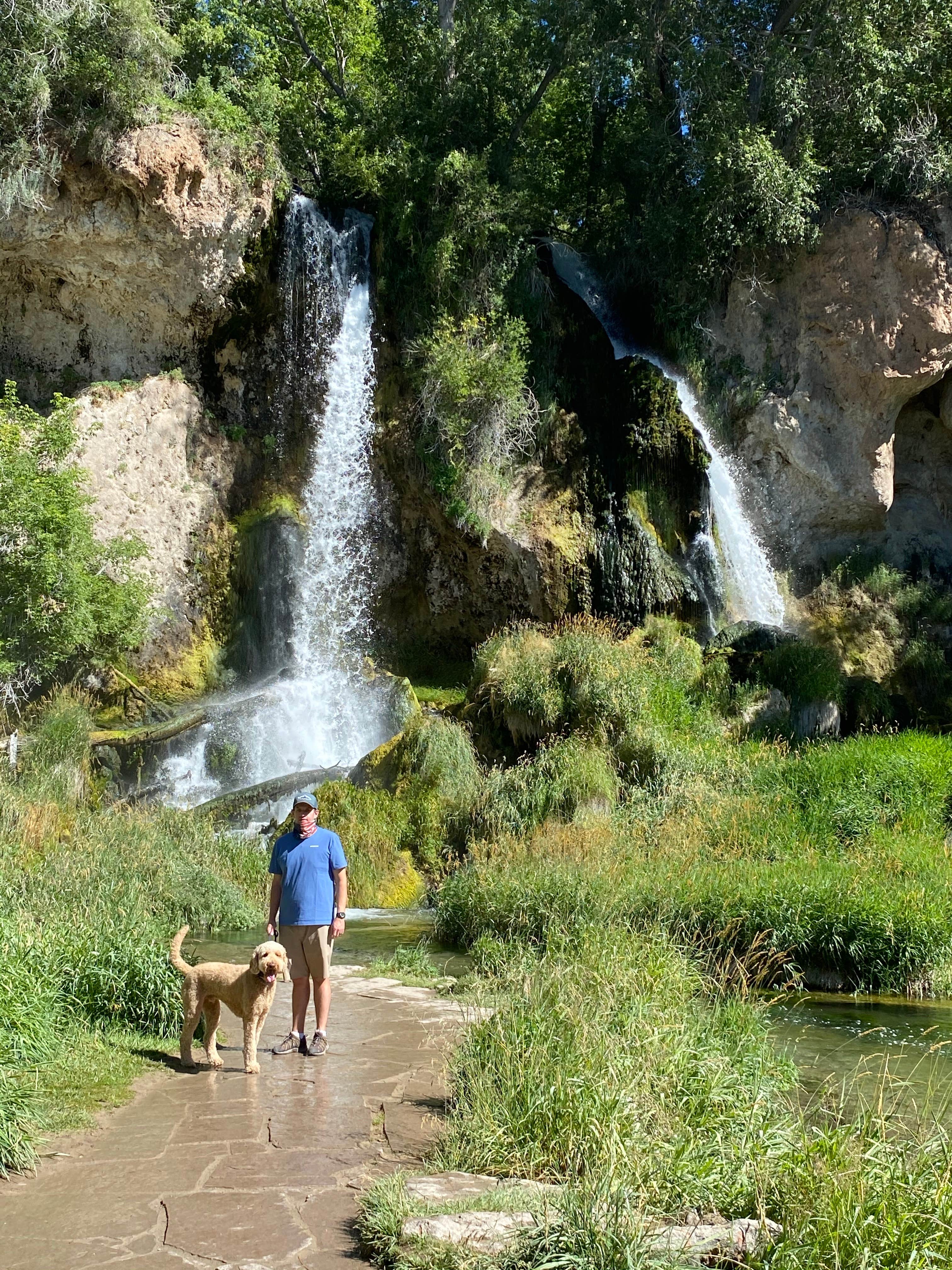 Sarah F.'s photo of camping with pets at Rifle Falls State Park Campground near Rifle, CO