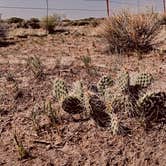 Review photo of Rabbit Hole Ranch by Kyle F., August 27, 2020