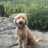 Review photo of Cold Springs - Arapaho Roosevelt Nf (CO) by Sarah F., August 2, 2020