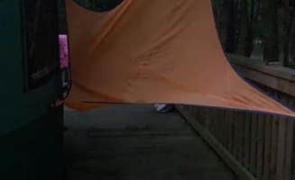 Elizabeth V.'s photo at Kiptopeke State Park Campground in Virginia