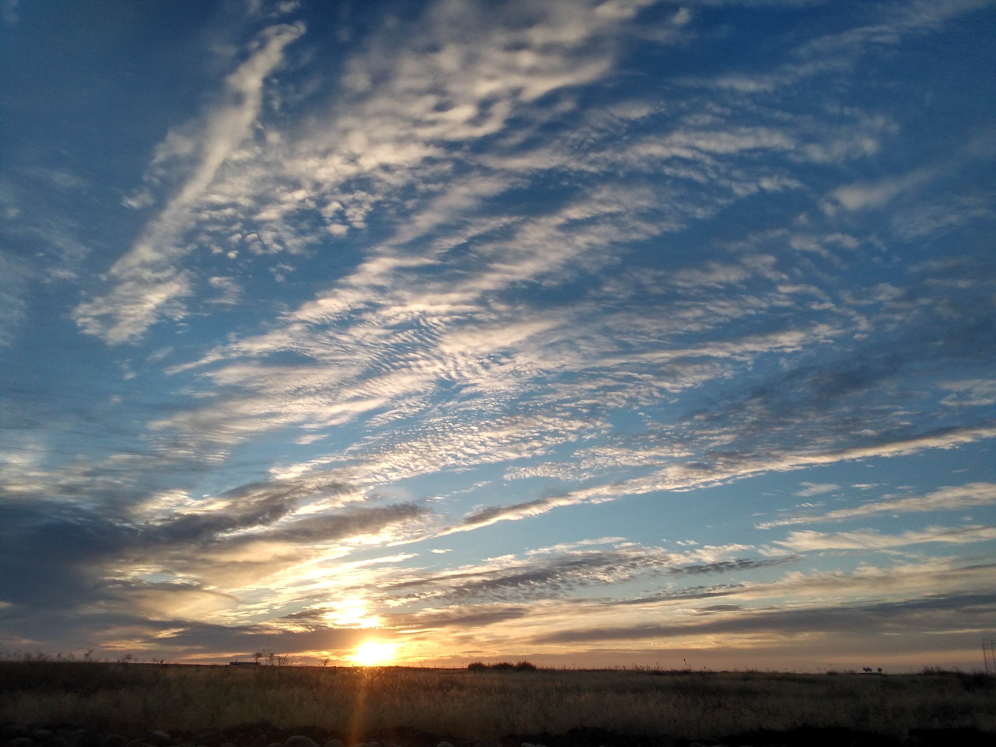 Camper-submitted photo at The Oasis near Hartline, WA
