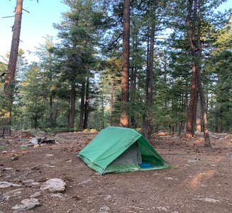 Camper-submitted photo from Hannagan Campground - Apache Sitgreaves National Forests