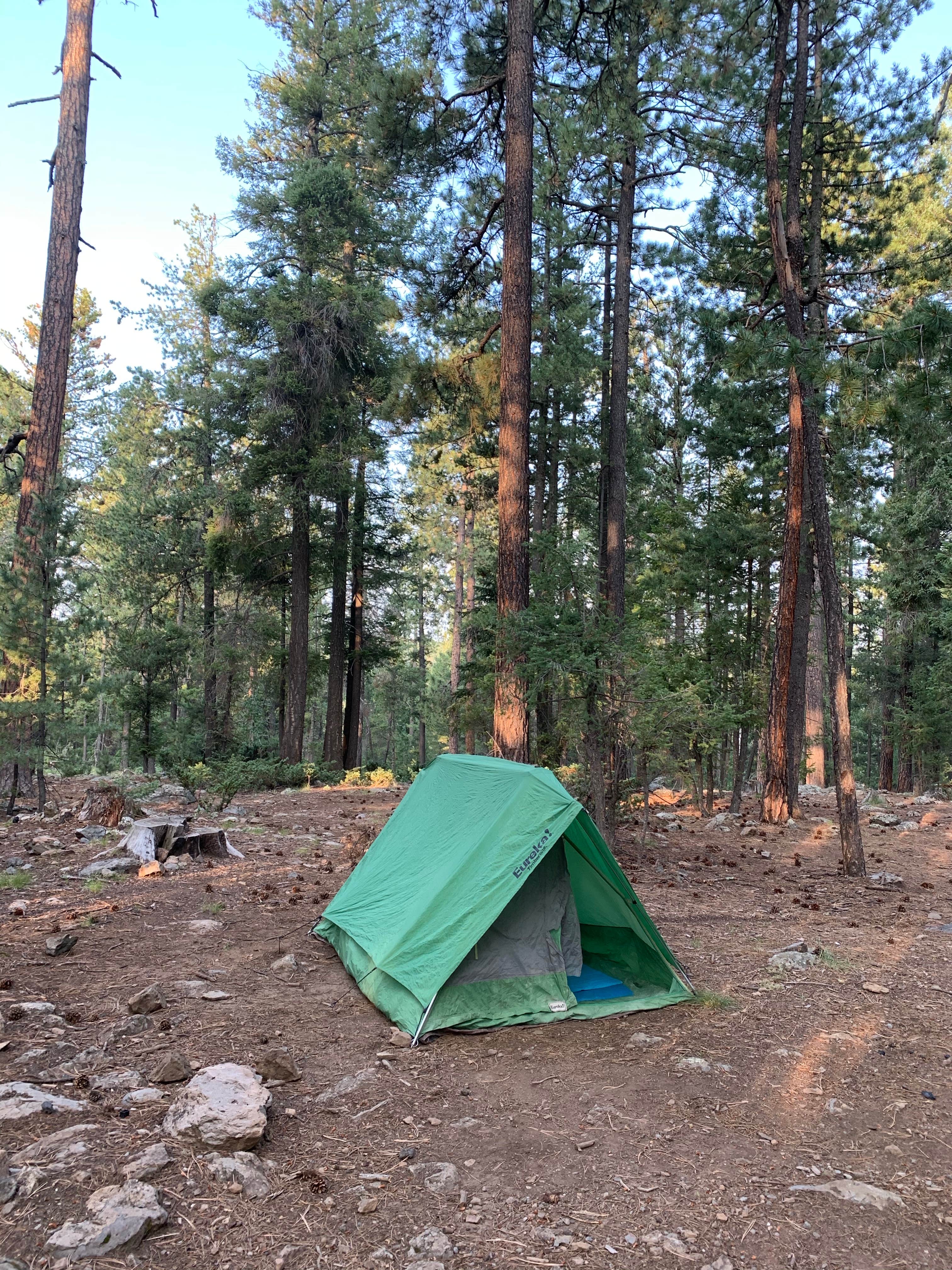 Camper submitted image from Rainbow (AZ) - 3