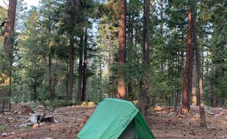 Jacob  W.'s photo at Rainbow (AZ) near Springerville, AZ