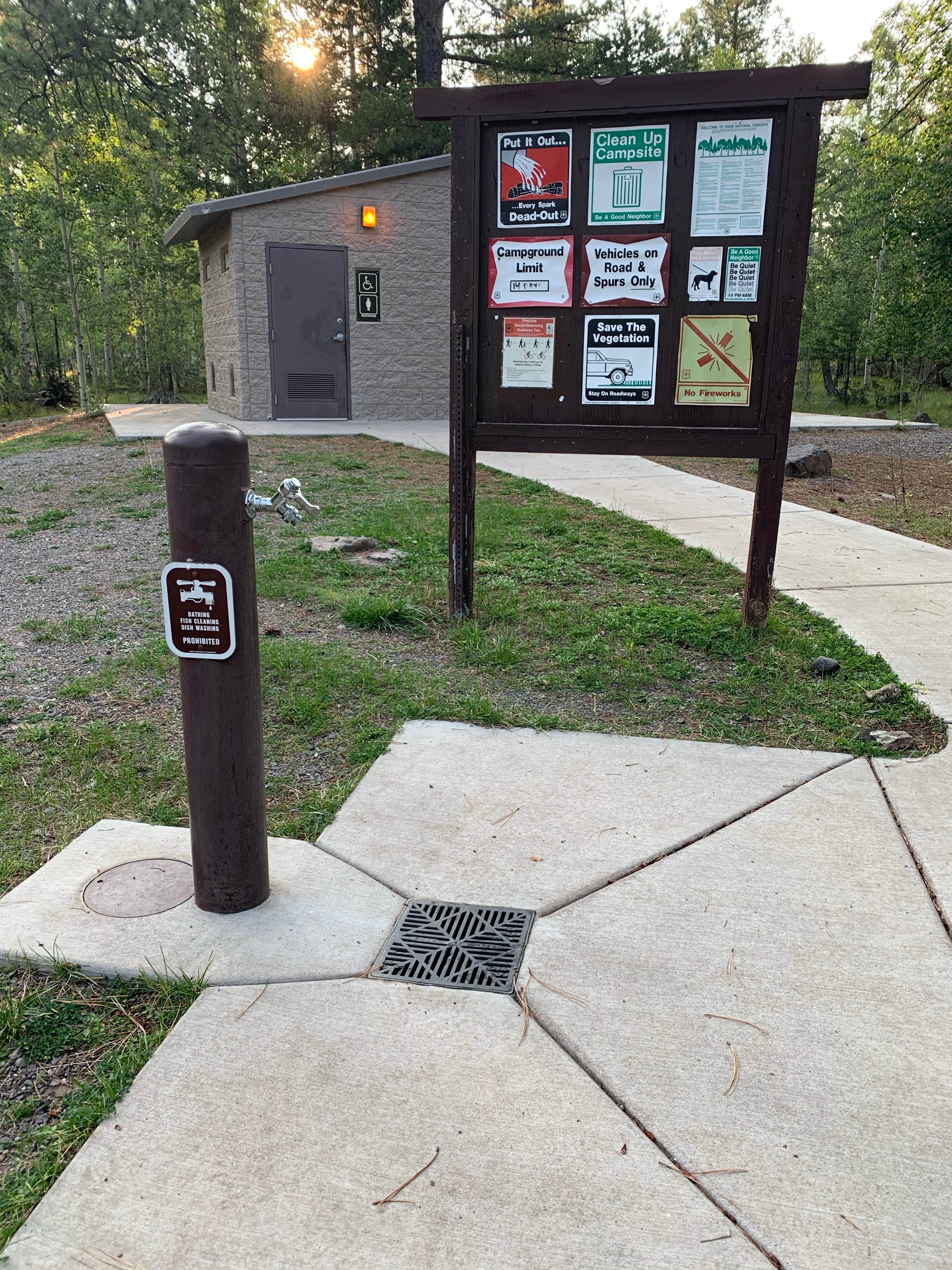 Camper-submitted photo at Rainbow (AZ) near Lakeside, AZ