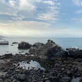 Review photo of Rocky Point at Steep Ravine Environmental Campground — Mount Tamalpais State Park by Tai R., August 27, 2020
