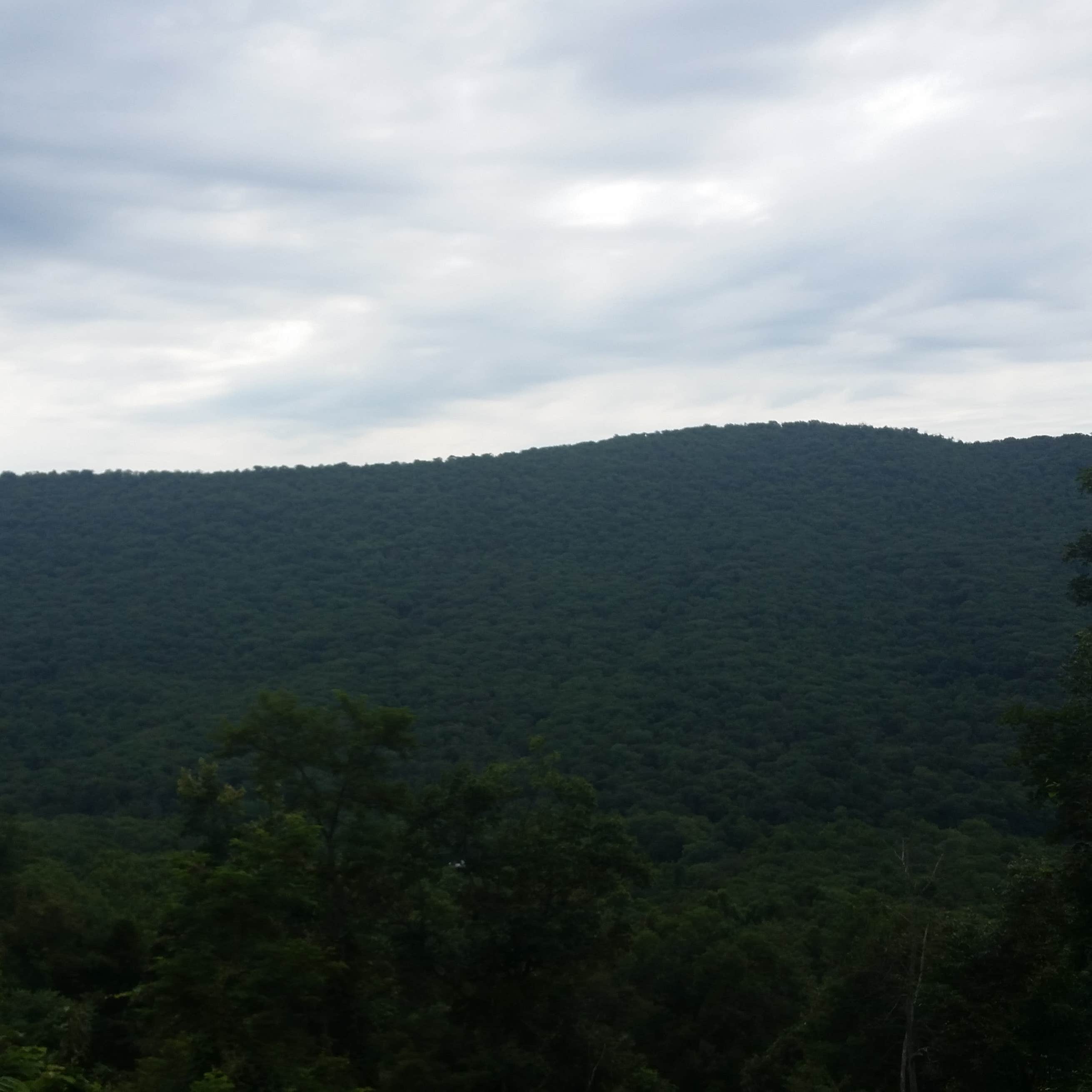 Tuscarora State Park Camping The Dyrt