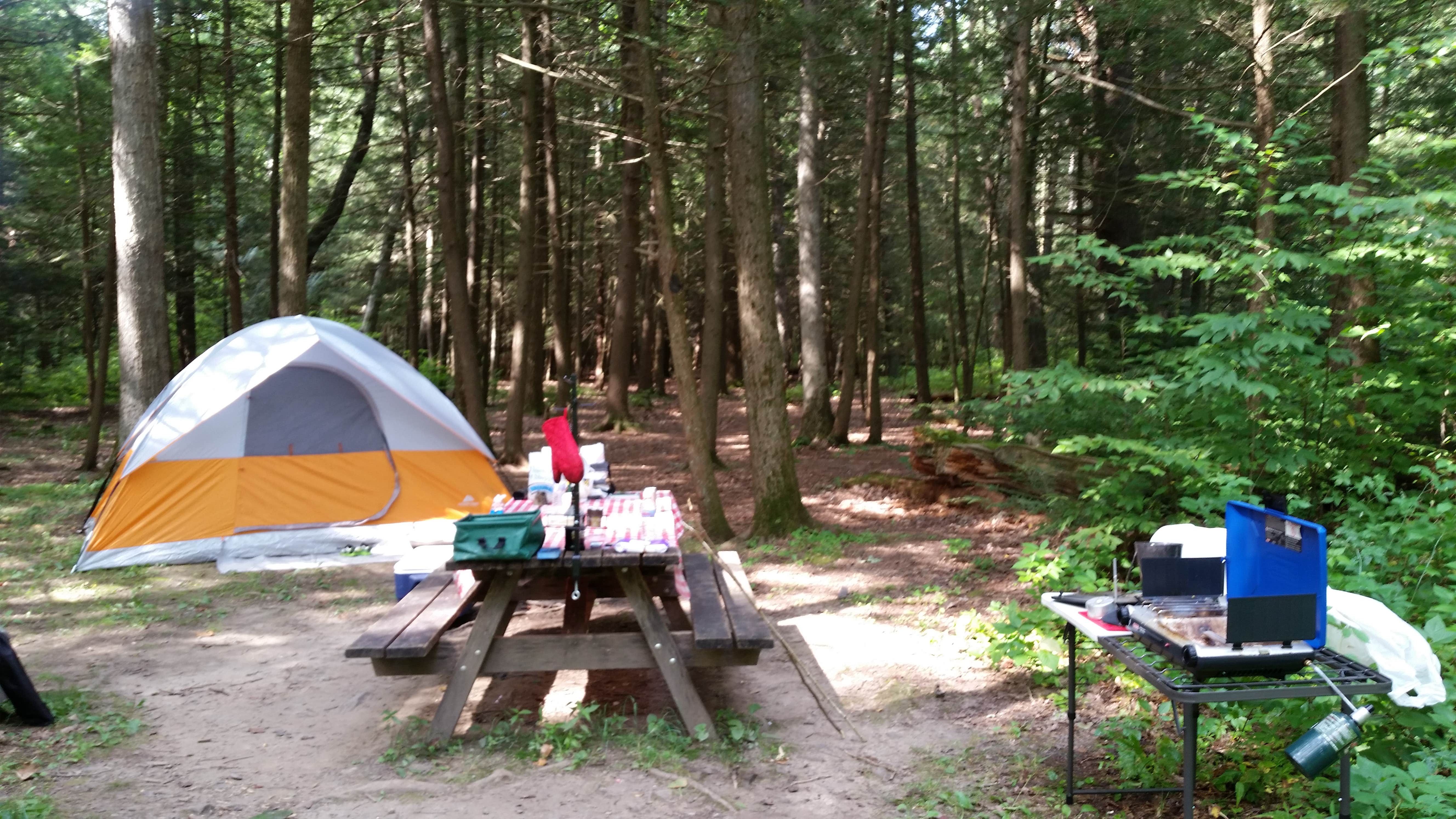 Camper submitted image from Tuscarora State Park Campground - 2
