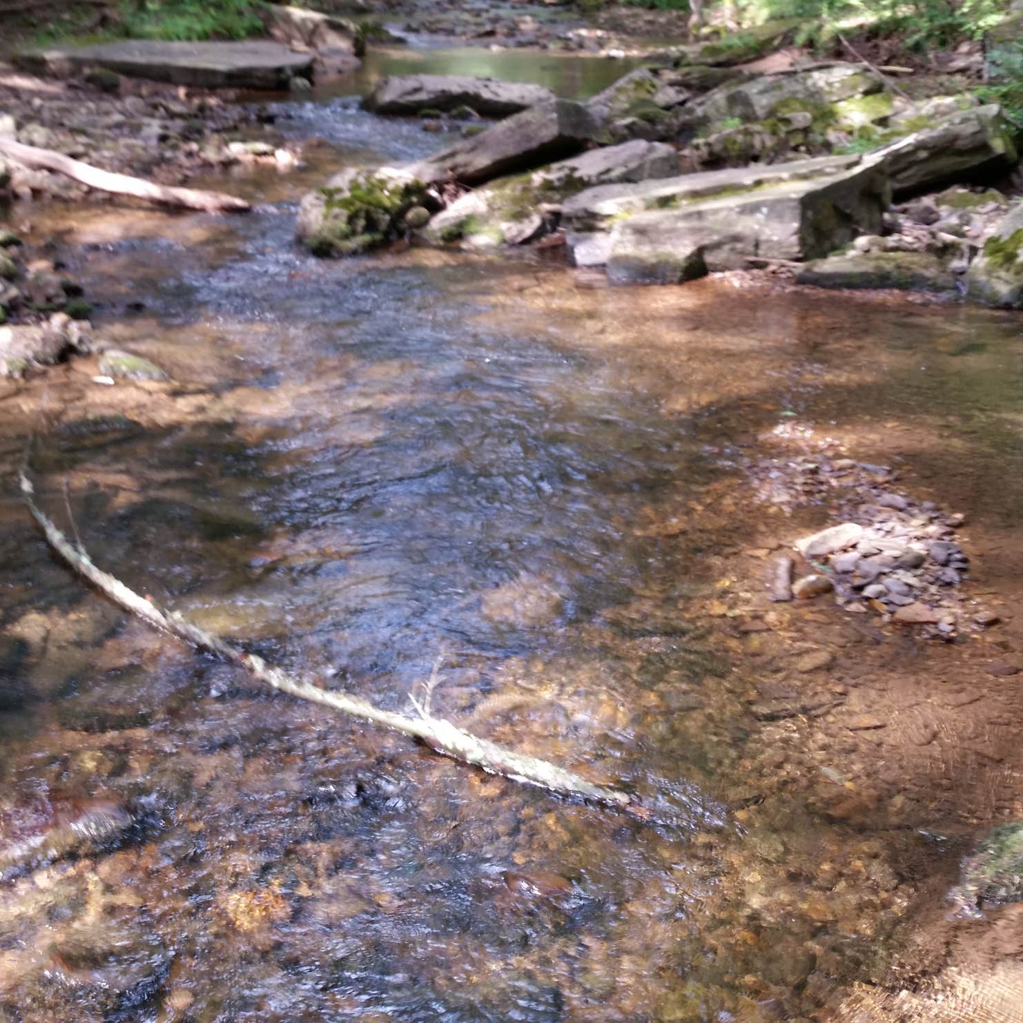 Tuscarora State Park Camping The Dyrt