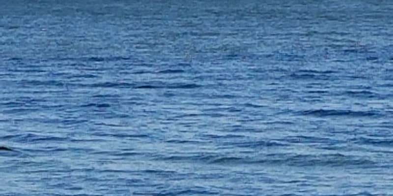 Camper submitted image from Bay Springs Lake