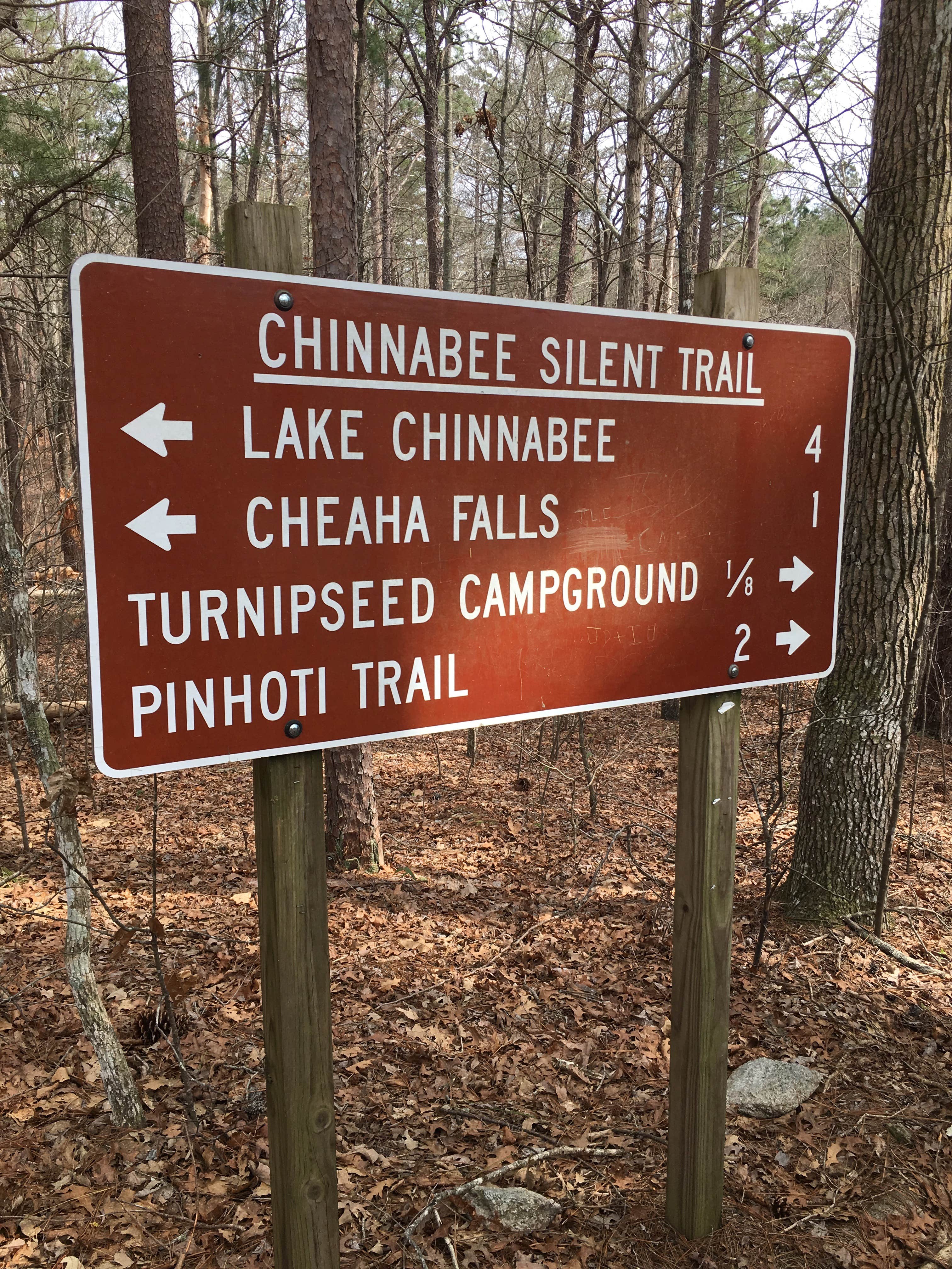 Camper submitted image from Cheaha Falls Campground - 5
