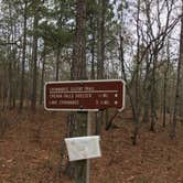 Review photo of Cheaha Falls Campground by Asher K., May 8, 2018