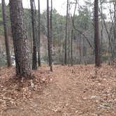 Review photo of Cheaha Falls Campground by Asher K., May 8, 2018