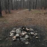 Review photo of Cheaha Falls Campground by Asher K., May 8, 2018