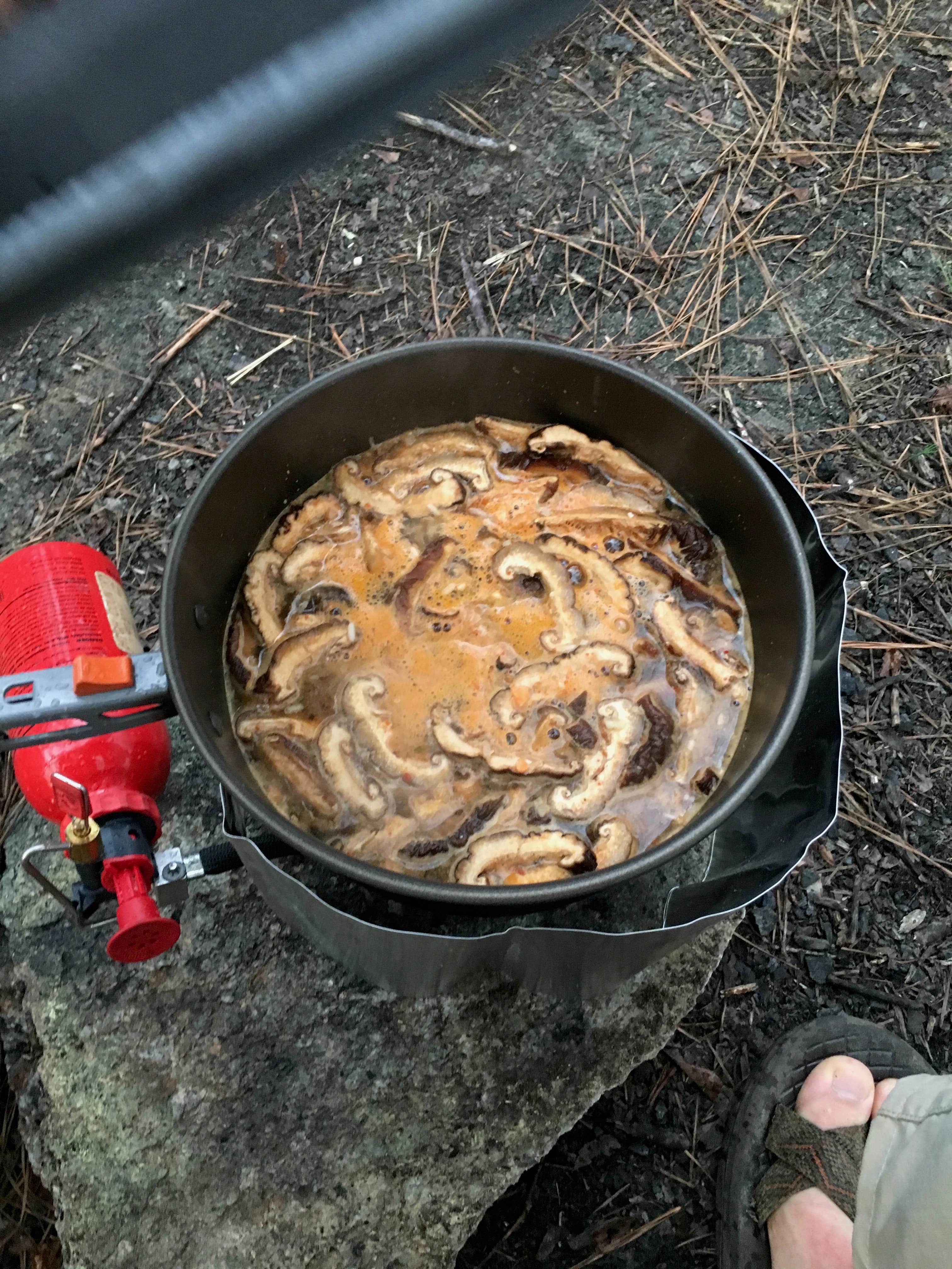 Camper-submitted photo at Cheaha Falls Campground near Hollins, AL