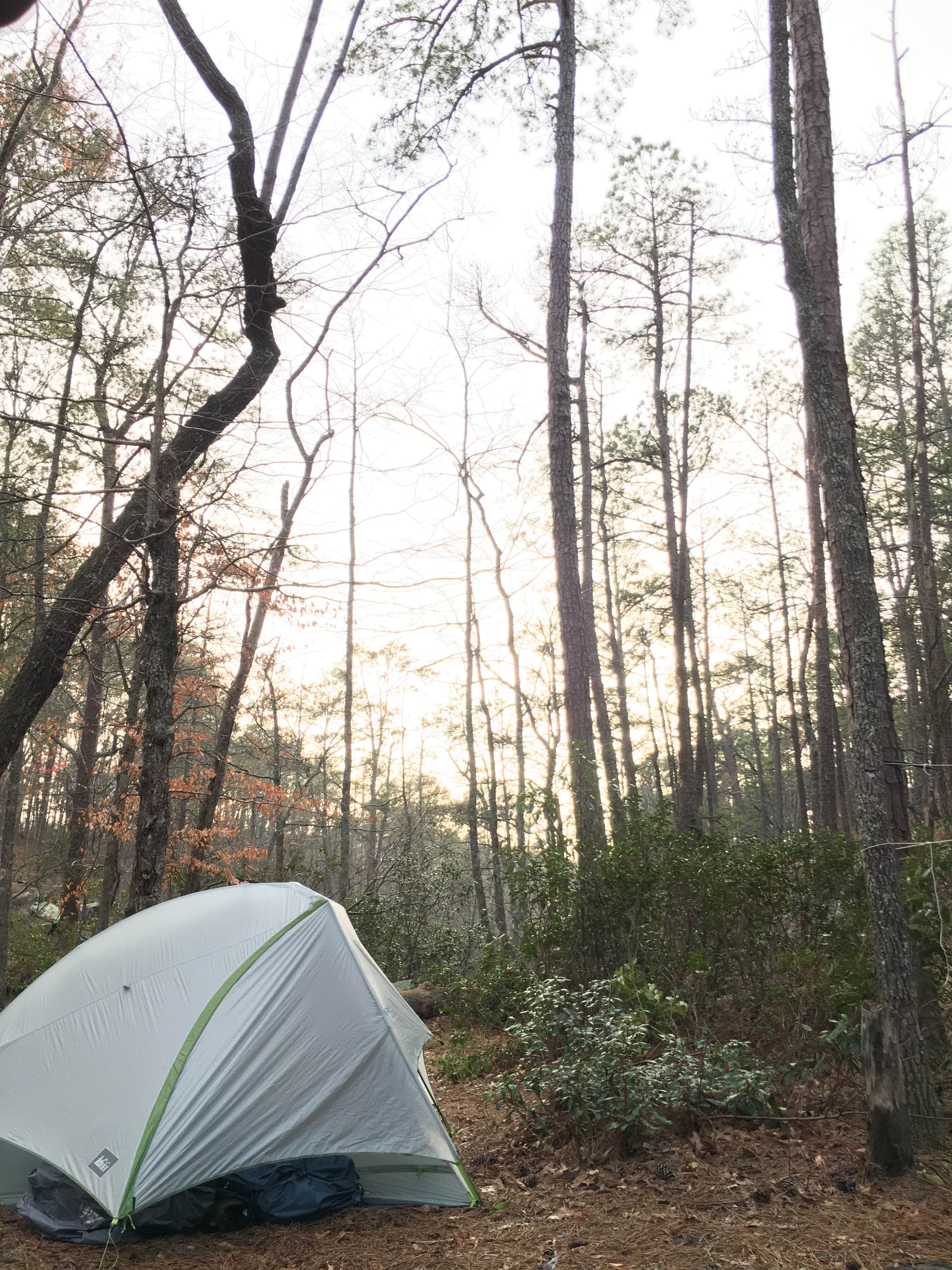 Asher K.'s photo at Cheaha Falls Campground near Delta, AL