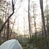 Review photo of Cheaha Falls Campground by Asher K., May 8, 2018