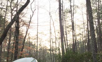Asher K.'s photo of tent camping at Cheaha Falls Campground near Columbiana, AL