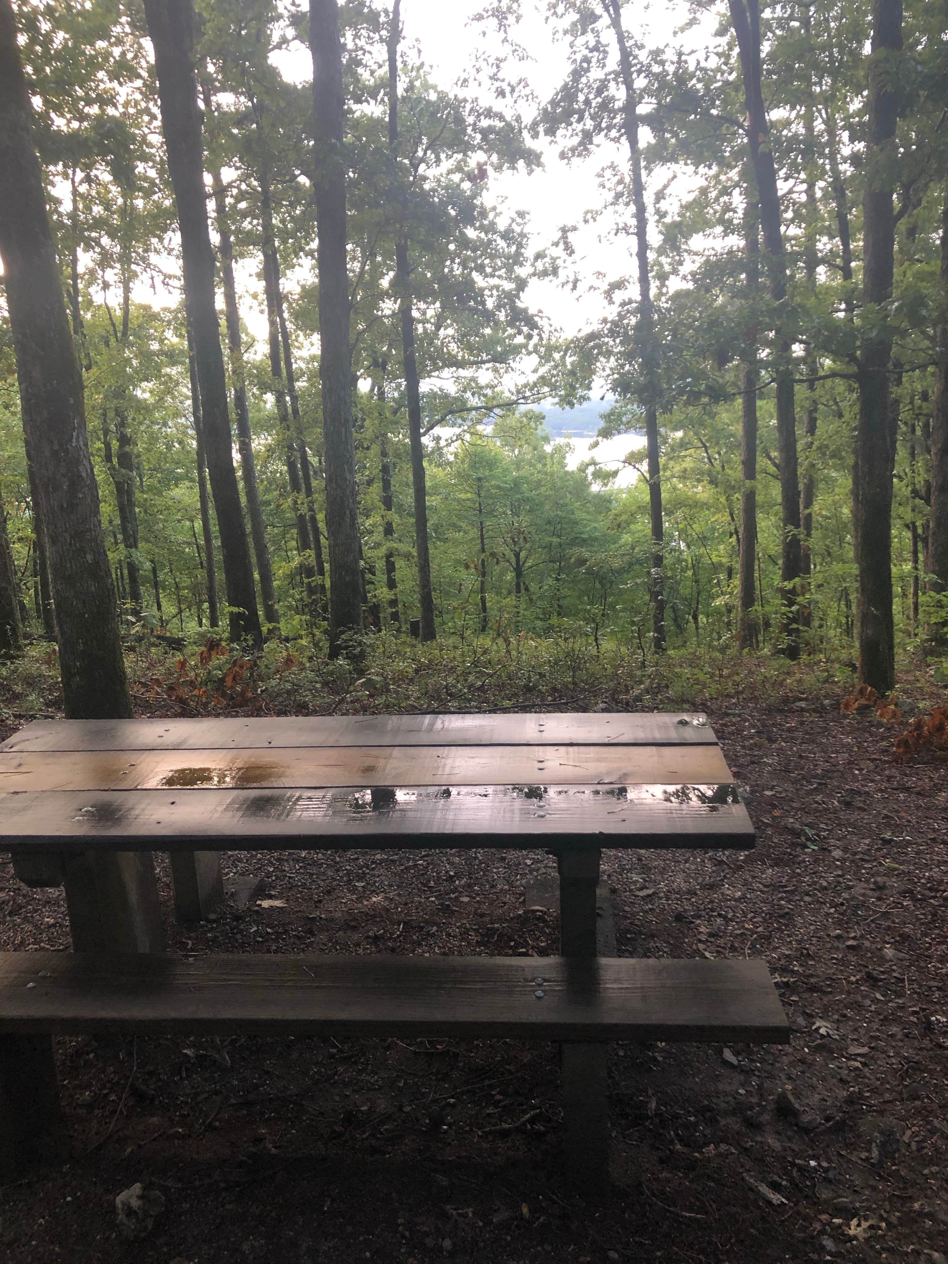 Camper submitted image from Hickory Nut Mountain - 1