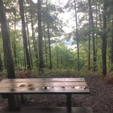 Review photo of Hickory Nut Mountain by Chrischelle N., August 27, 2020