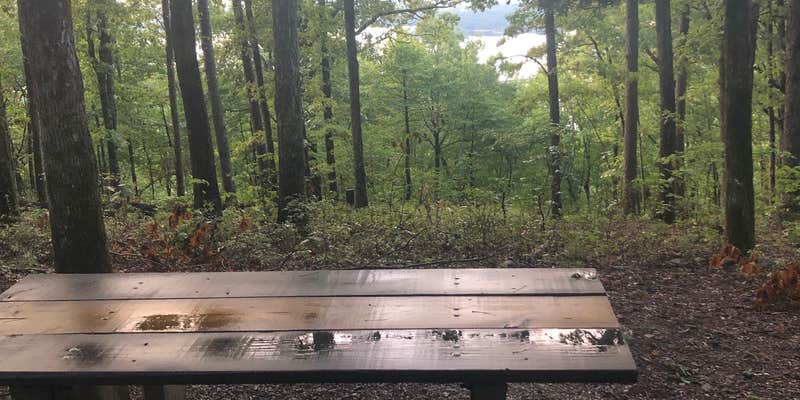 Camper submitted image from Hickory Nut Mountain