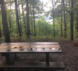 Camper-submitted photo from Hickory Nut Mountain
