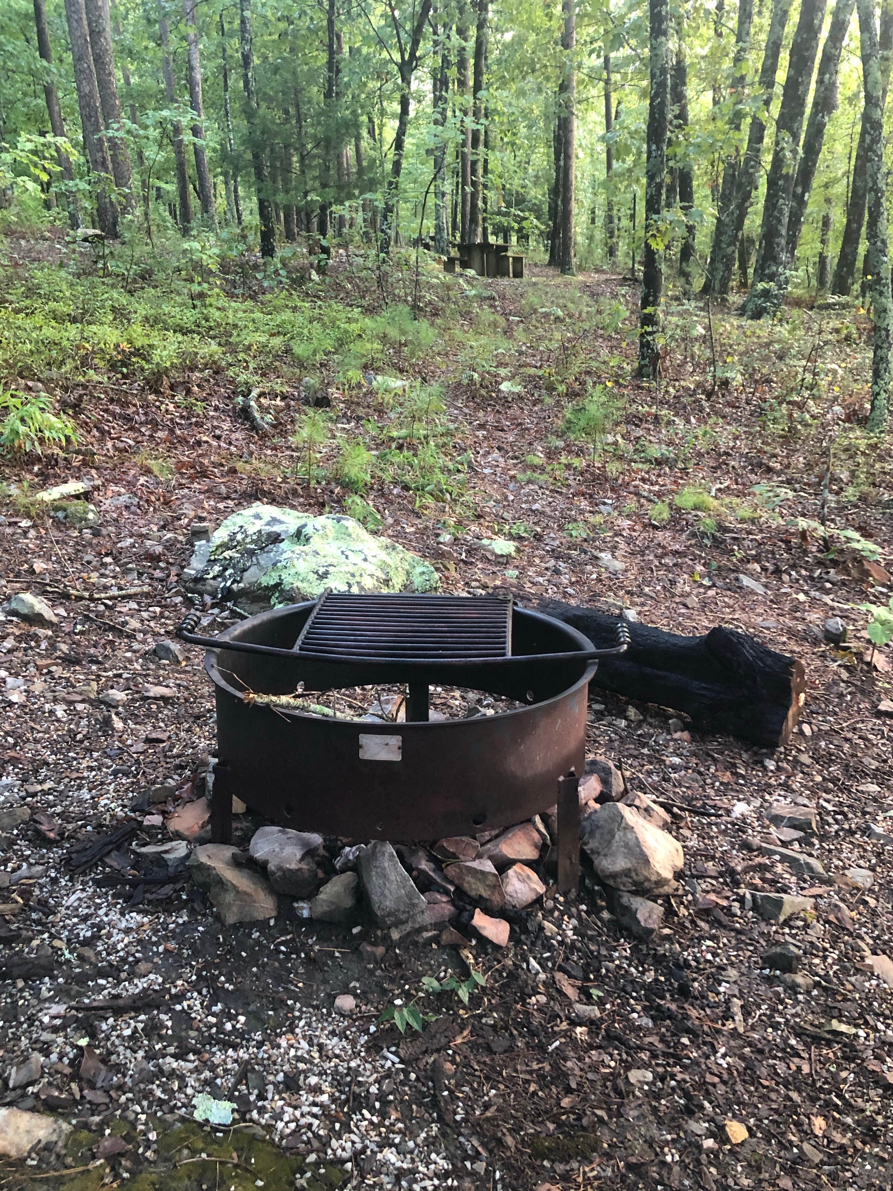 Camper submitted image from Hickory Nut Mountain - 2