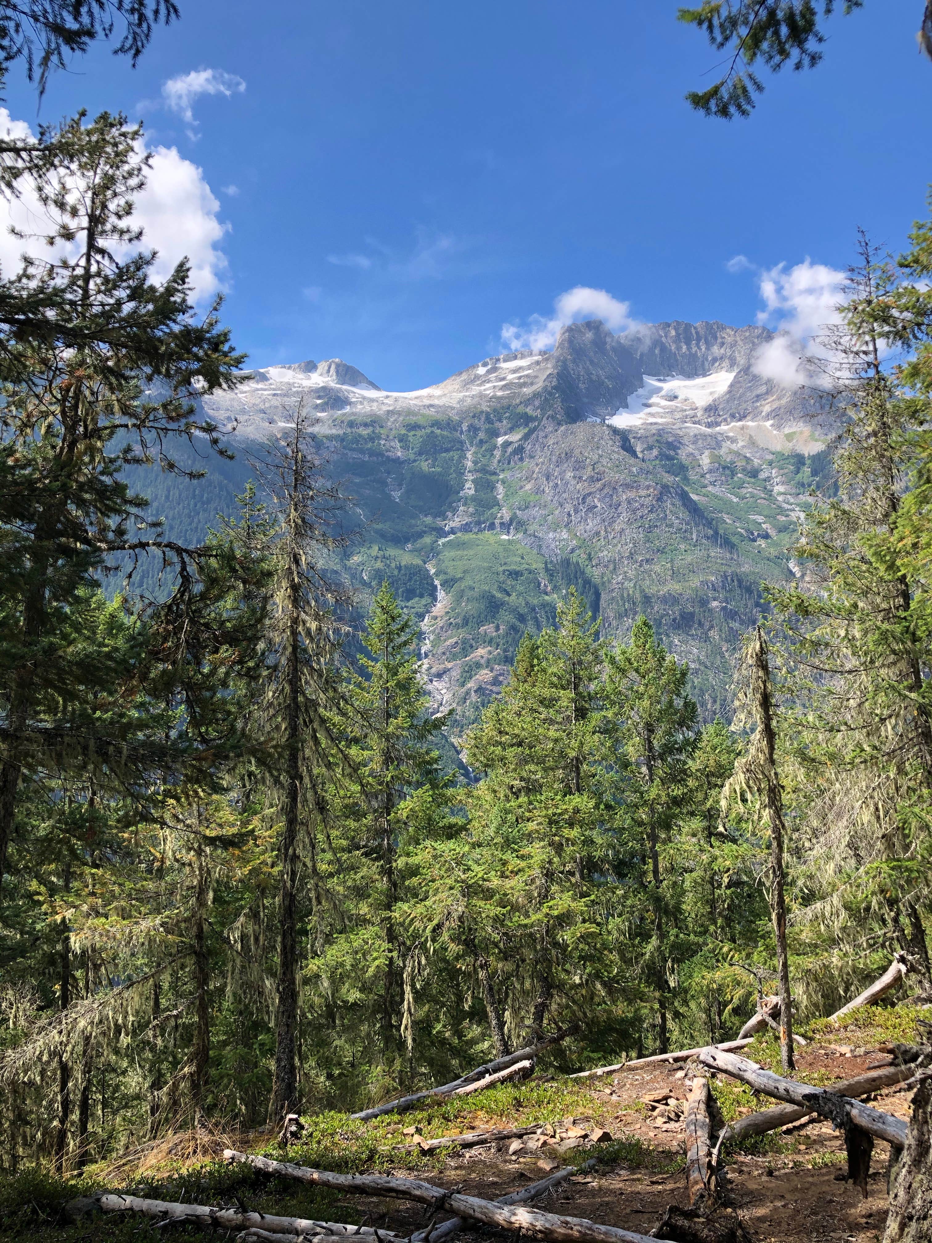 Camper submitted image from Junction Camp — North Cascades National Park - 1