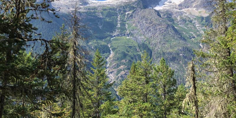 Camper submitted image from Junction Camp — North Cascades National Park