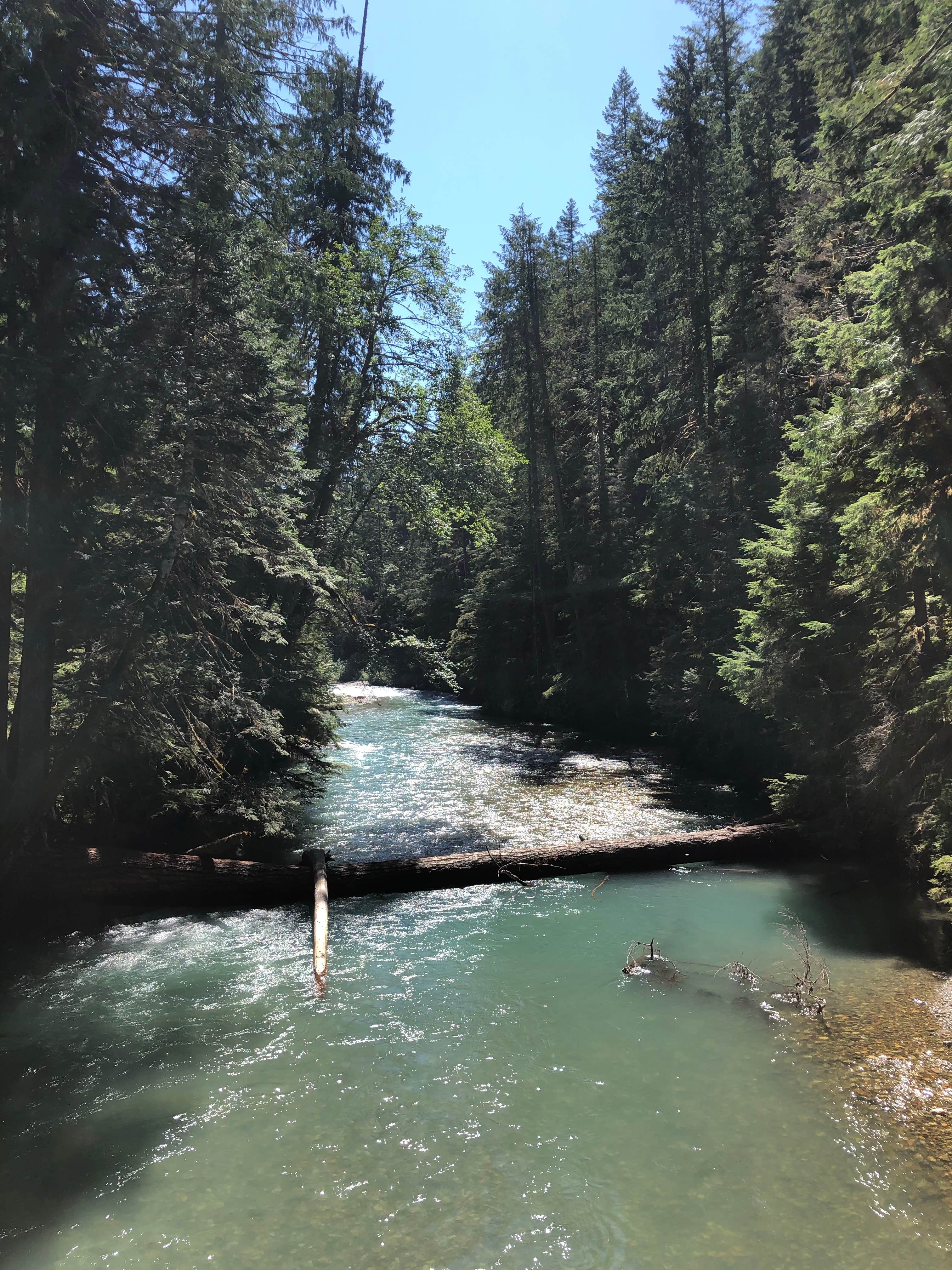 Camper submitted image from Thunder Campground — Ross Lake National Recreation Area - 1