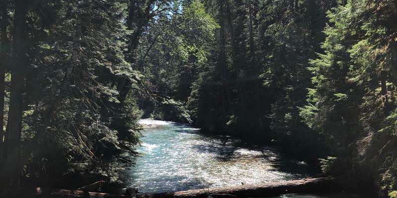 Camper submitted image from Thunder Campground — Ross Lake National Recreation Area