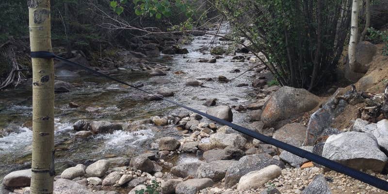 Camper submitted image from Chaffee County Road 390 Dispersed