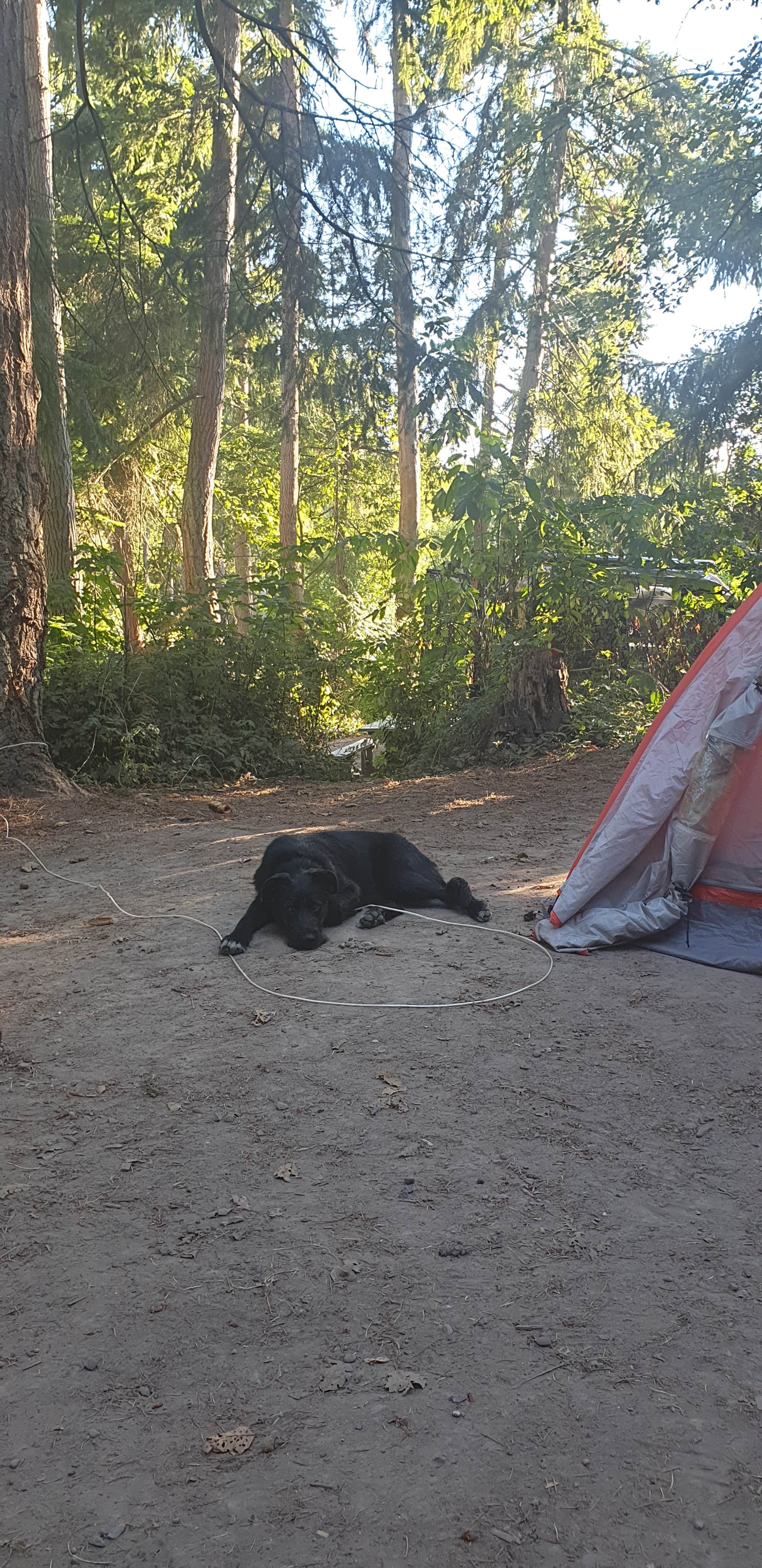Sofie K.'s photo at Dash Point State Park Campground in Washington
