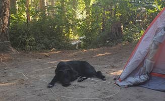Sofie K.'s photo at Dash Point State Park Campground in Washington