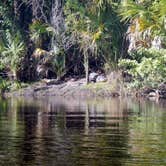 Review photo of Palmetto Ridge Campground — Myakka River State Park by Steve S., July 6, 2016