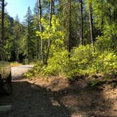 Review photo of Solomon Lake Campsite by Alex P., August 27, 2020