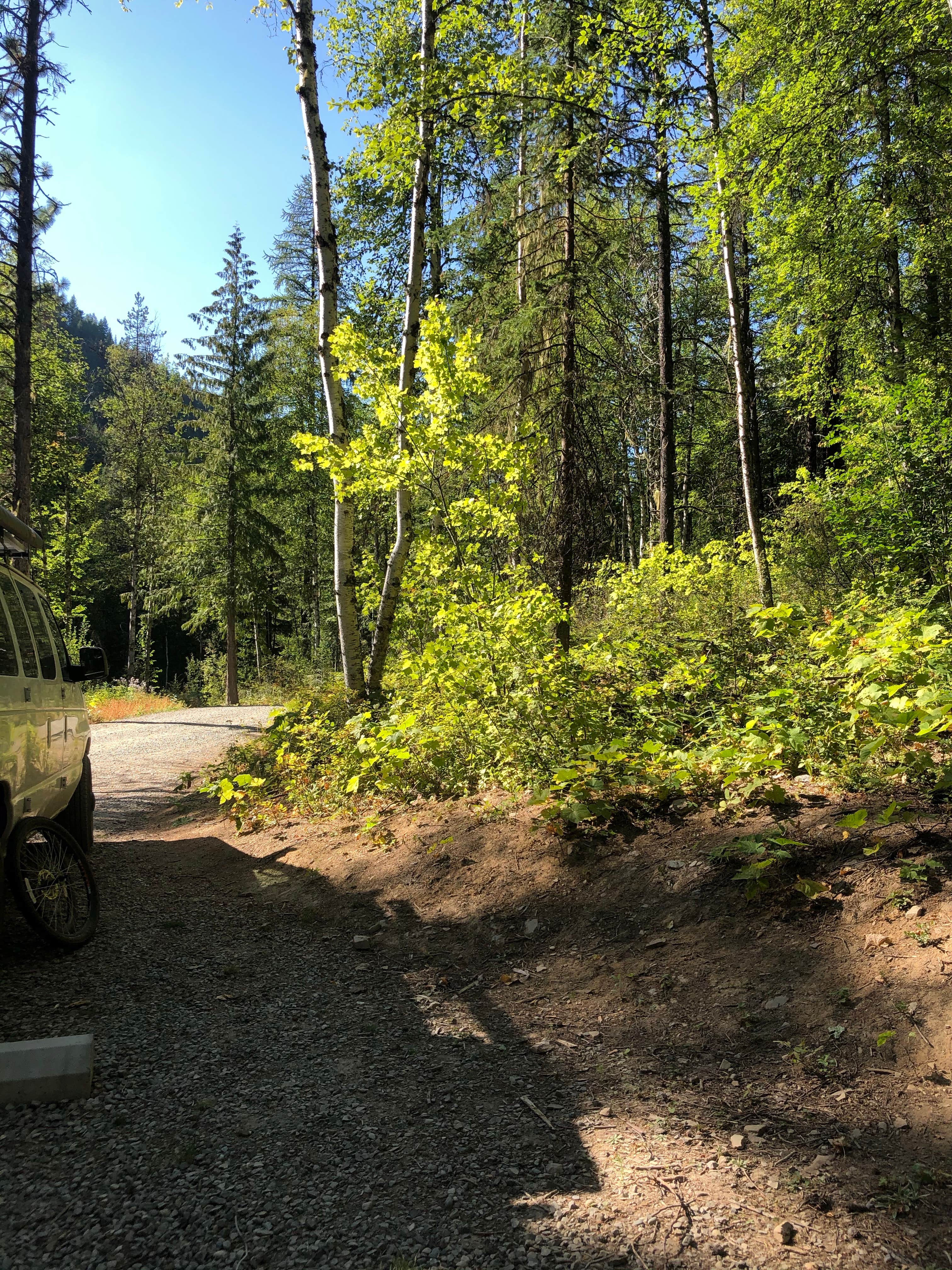 Camper submitted image from Solomon Lake Campsite - 3