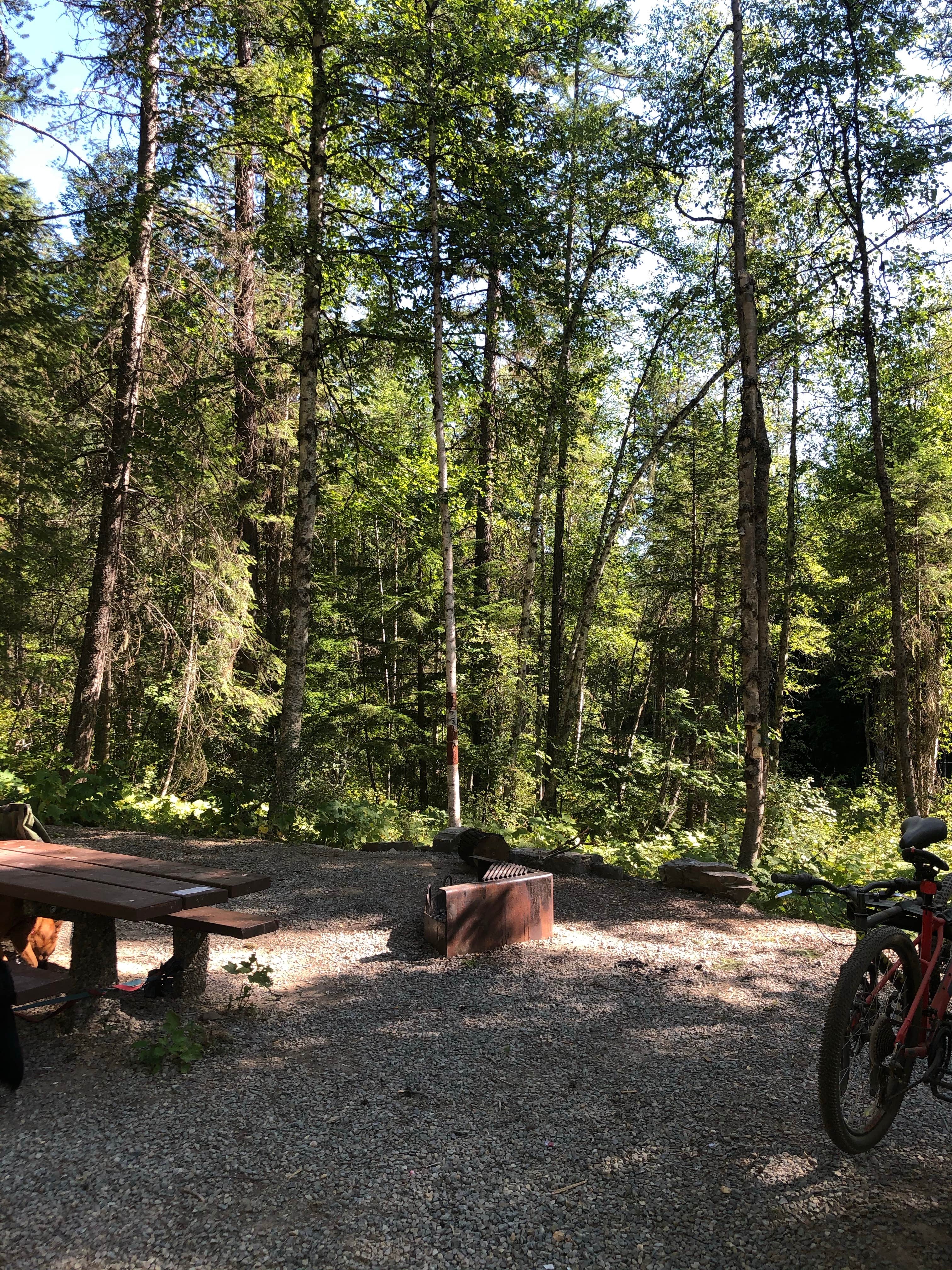 Camping near Mt. Baldy-buckhorn Ridge: Solomon Lake Campsite, Moyie Springs, Idaho